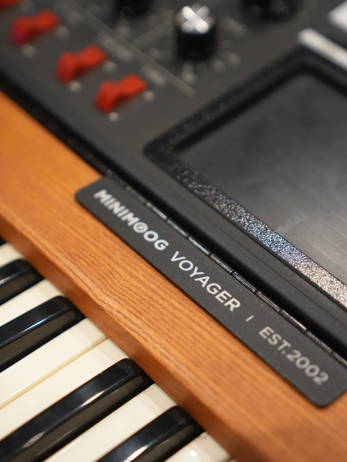 Detalle del Minimoog Voyager